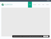 Tablet Screenshot of pluricon.it